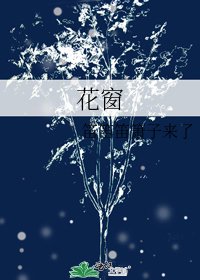 《花窗》