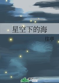 星空下的海