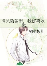 清风微微起，我好喜欢你