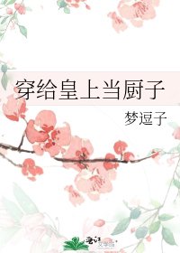 穿给皇上当厨子