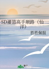 SD灌篮高手顺路（仙洋）