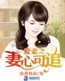 《爱妻之妻心可追》