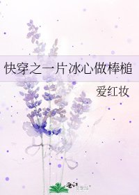 快穿之一片冰心做棒槌