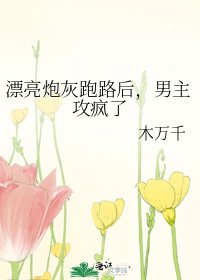 漂亮炮灰跑路后，男主攻疯了