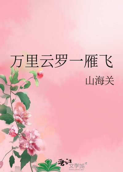 《万里云罗一雁飞》