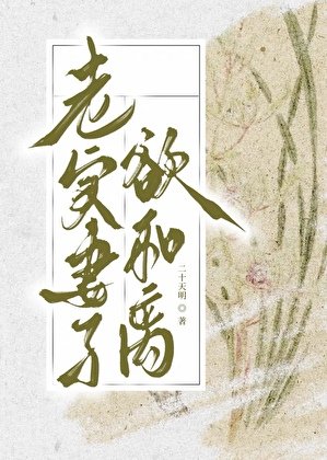 老实妻子欲和离