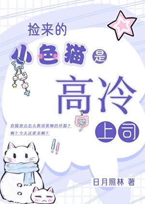 《捡来的小色猫是高冷上司》