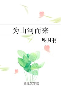 为山河而来