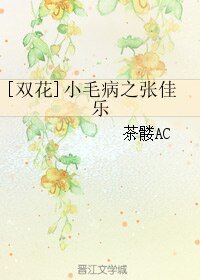 （BL/全职同人）[双花]小毛病之张佳乐