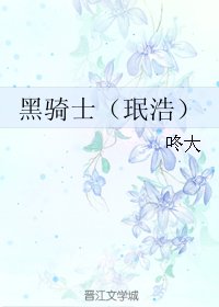 （BL/韩娱同人）黑骑士（珉浩）