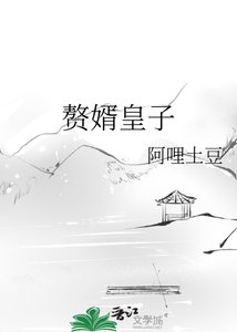 《赘婿皇子》