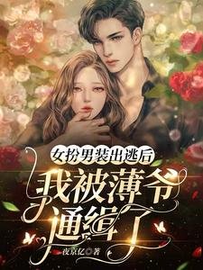 女扮男装出逃欢,我被薄爷通缉了