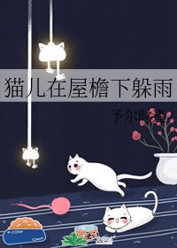 猫儿在屋檐下躲雨