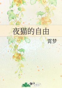 夜猫的自由