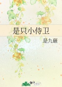 是只小侍卫