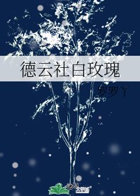 德云社白玫瑰