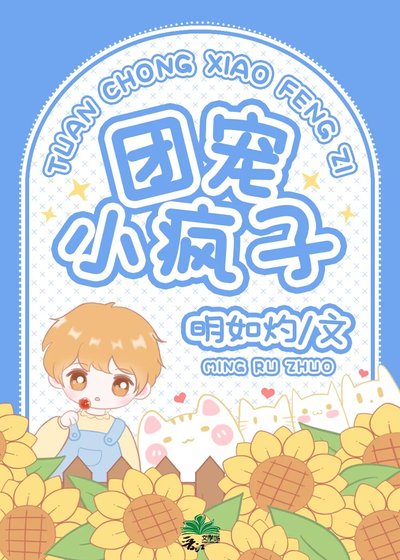 团宠小疯子