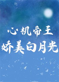 锦宫月华/心机帝王的娇美白月光