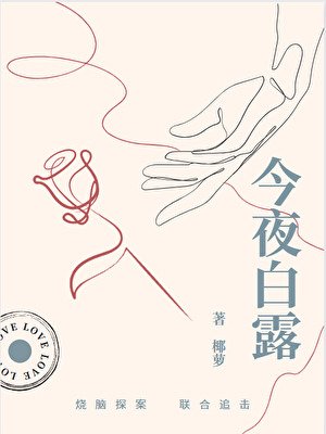 小镇谜案