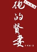 他的贤妻