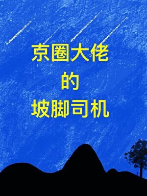 京圈大佬的跛脚司机