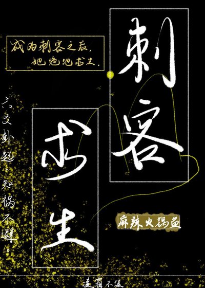 刺客平生录
