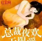 总裁宠妻无限爱