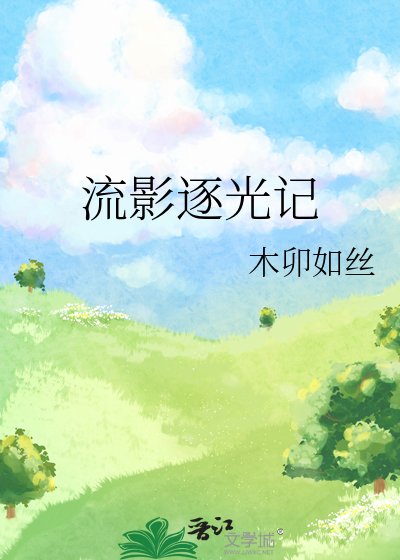 流影逐光记