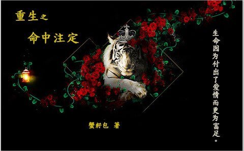 （BL/HP同人）HP重生之命中注定