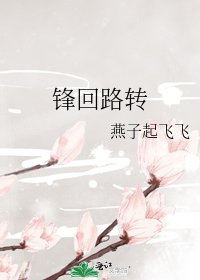 锋回路转