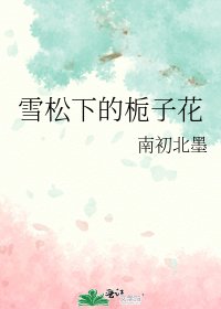 雪松下的栀子花