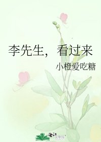 李先生，看过来