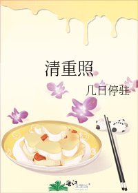 清重照
