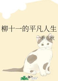 《柳十一的平凡人生》