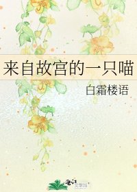 来自故宫的一只喵