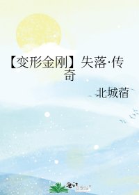 《【变形金刚】失落·传奇》