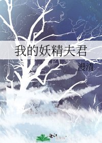 《我的妖精夫君》