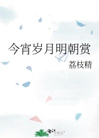 《今宵岁月明朝赏》