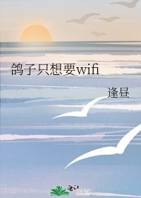 鸽子只想要wifi