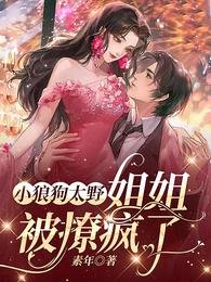 小狼狗太野，姐姐被撩疯了