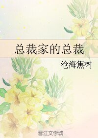 《(BL/魔幻手机同人)总裁家的总裁》