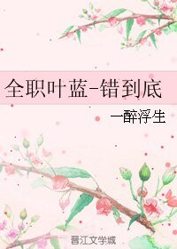 （BL/全职同人）全职叶蓝-错到底