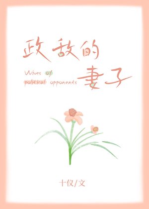 政敌的妻子