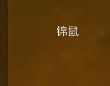 锦鼠（gl）