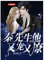 秦先生他又宠又撩