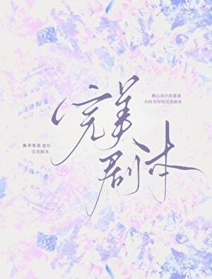 完美剧本