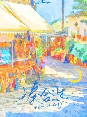 凑合过