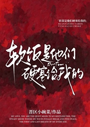 软饭是他们硬塞给我的