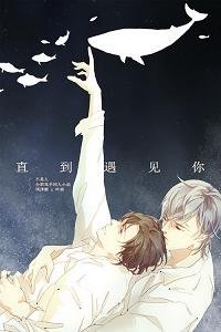 （BL/全职同人）直到遇见你