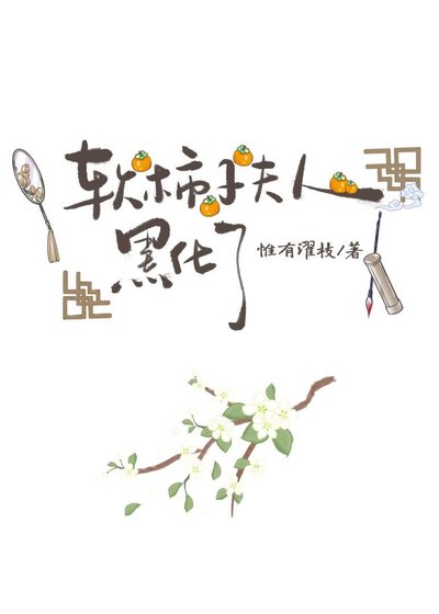 阵柿子夫人黑化了